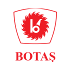 Botas